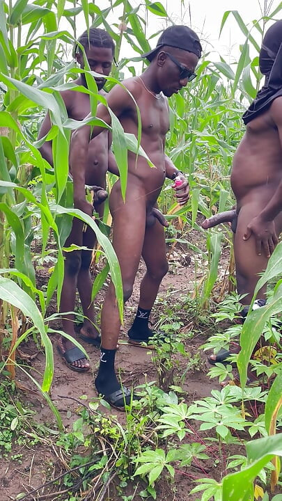 How I had sex with this thuggish guy with huge long dick inside a corn farm land
