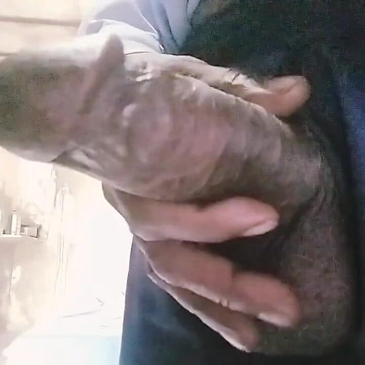 I Can Pregnant to You