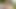 Public Fun Series - El Grove Teaser 2