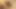 Desi Village Couple Homemade Telugu talking 4k xxx