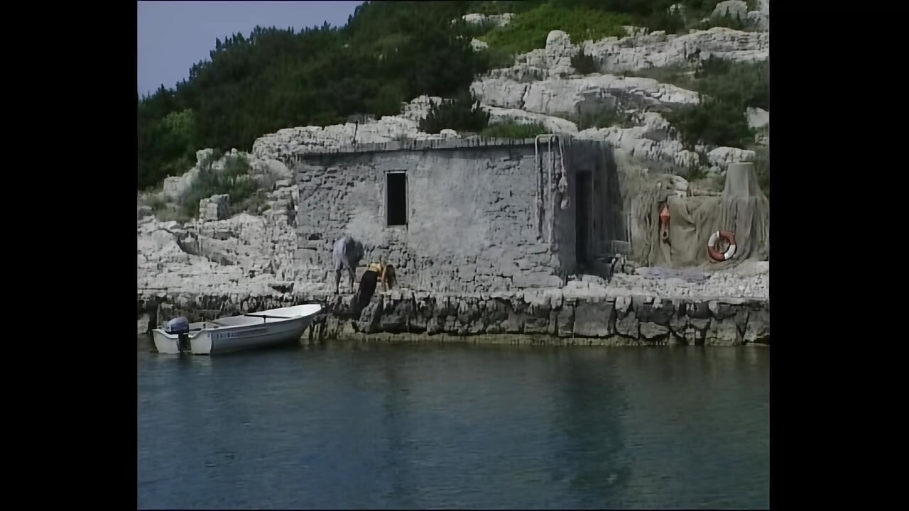 Mladi napaljeni zadovoljan je seksom s lađarom s tvrdim kurcem