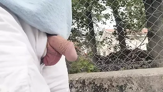 Sokakta işeme
