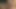 गलियारे पर सफाई 69