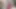Lezbiyenler Abella Danger ve Gia Derza birbirlerini yalıyor
