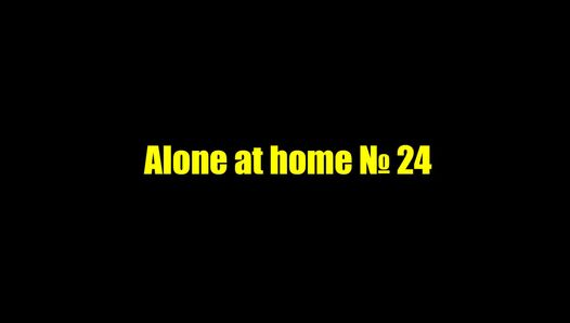 Один дома 24