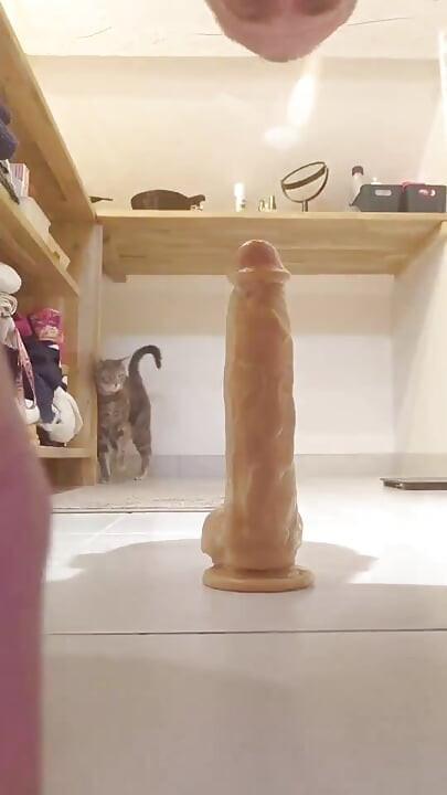 孤独な快楽