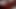 Dildo on the kitchen table - WITHOUT SOUND -