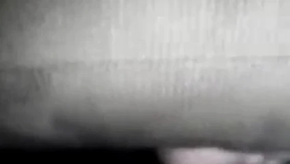 cep kedi