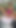 Ich habe ein vollständiges Video auf allmylinks Misss_Vikki, und die ersten 5 Abonnenten bekommen ein kostenloses 7-minuten-Video, das auf Ihrem Skript basiert