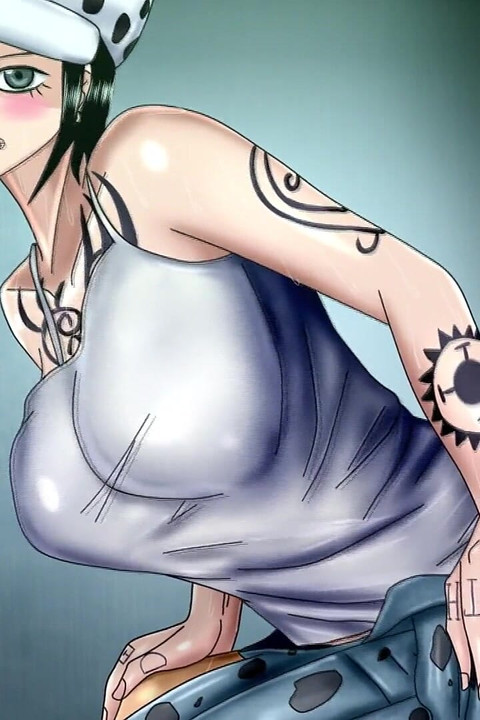 Franky X Robin,law X Nami,luffy Xlaw(woman) (one Piece)
