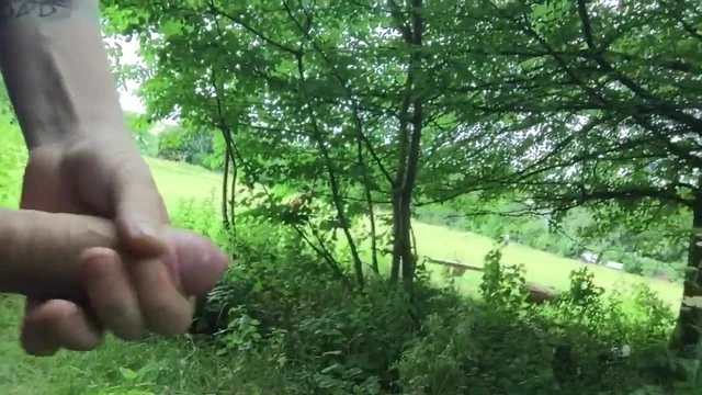 Cum in the park