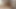 German tranny in wrong hotel room?