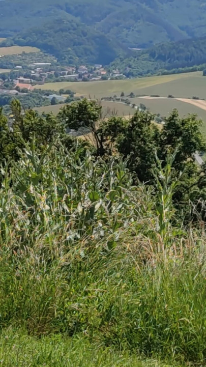 Key moment from "COMPLETE 4K MOVIE SEX ON TOP OF THE MOUNTAIN WITH ADAMANDEVE AND LUPO"