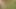 Jerking Outdoor with cumshot in the forest 03