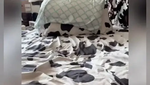 Şişman kedi derlemesi