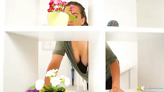 Top Shelf Titties - JOI