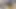 I Wear a Sable Fur Coat and Suck Cock on a New Fox Fur Blanket with Cumshot on My Vintage Stockings and Thick Fur
