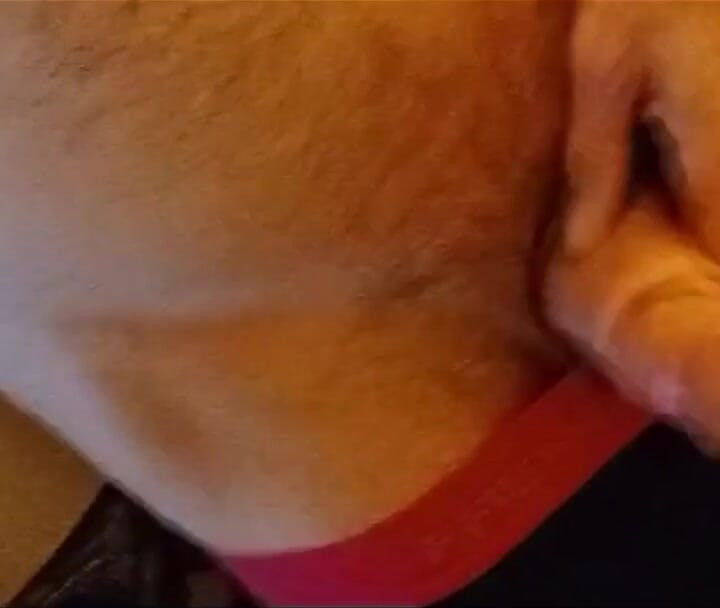 Solo playing with myself before I have a wank!
