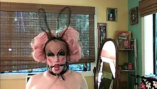 Web kamerası travesti