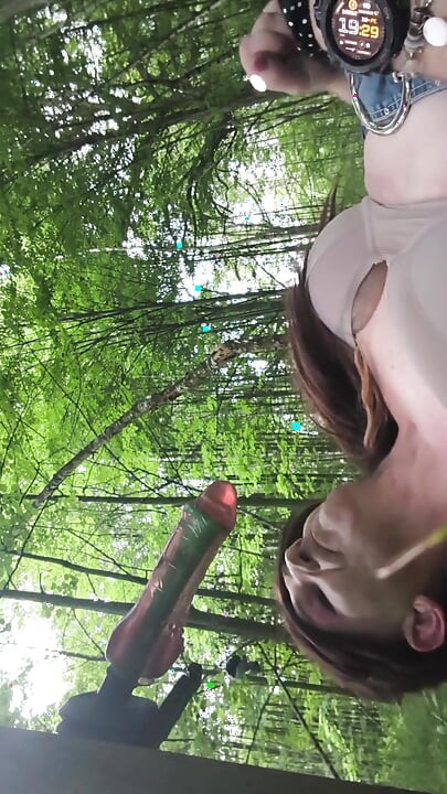I Went to the Forest to Get a Tree