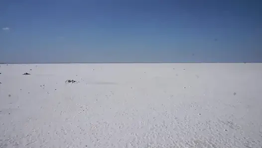 Белая соль пустыни