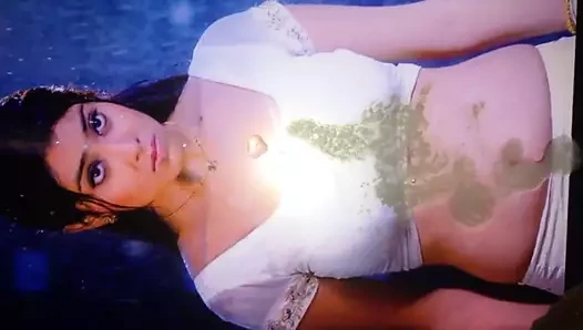 Shriya Saran cum
