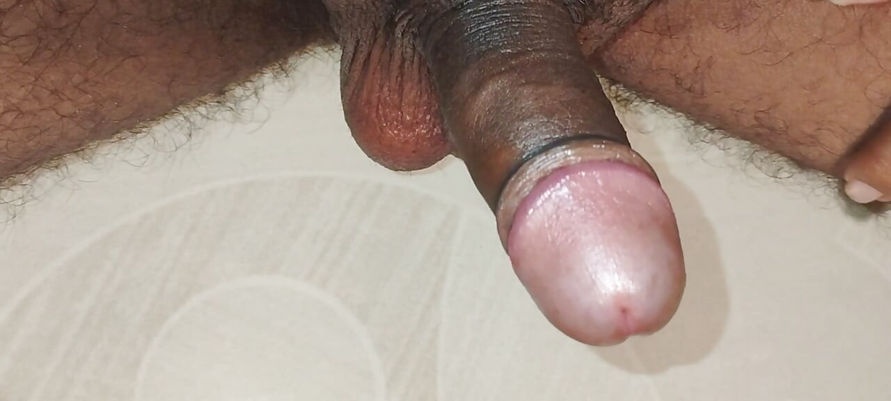 Hard cock ready to have sex