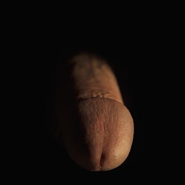 Ponoćni jarbol
