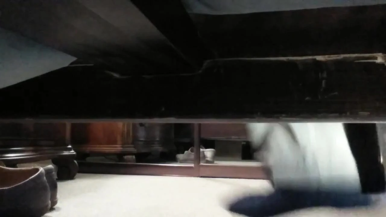 Under Creaking bed