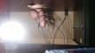 Pregled videozapisa