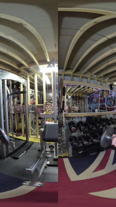 Lisa Cross - VR 2