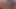 Siyah kaltaklar seks yapıyor ve beyaz yaşlıları emiyor
