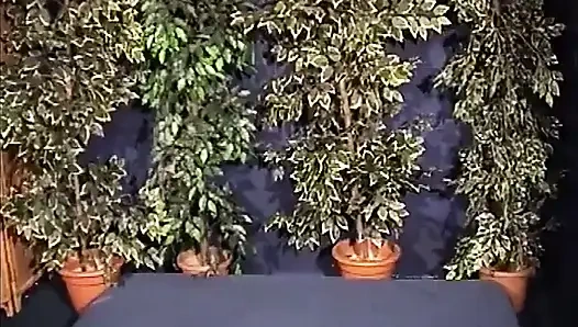 Jessica Rizzo производит Ingoio Per La Signora в Rools