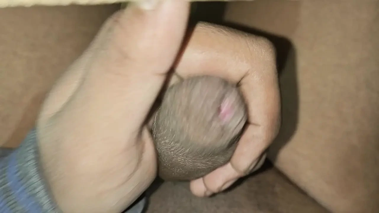 进入我的灌木亲爱的