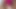 Süper kremsi dildo güzel amcığını sikiyor
