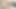 Bathroom Sex Indian Desi Indian Aunty Desi Aunty Sexy Aunty Big Ass Aunty Kolkata Aunty Local Aunty Pussy Aunty