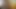 Fick Maus aus dem Netz