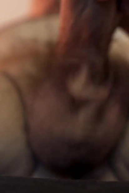 Bear Worships His Hairy Bull Balls, No Cum