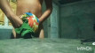 Pregled videozapisa