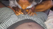 Pregled videozapisa