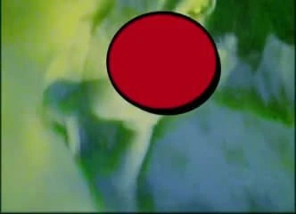 Butt Plug