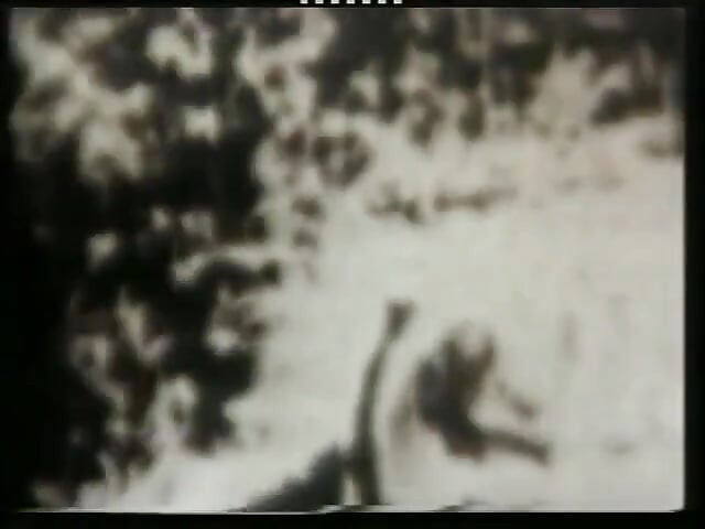 Інтригуючий день трах