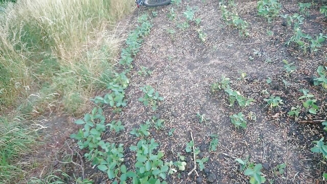 Naked Guy Pisses Then Jerks Off and Cums in Nature