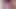 Ftm Pussy Licked Close up