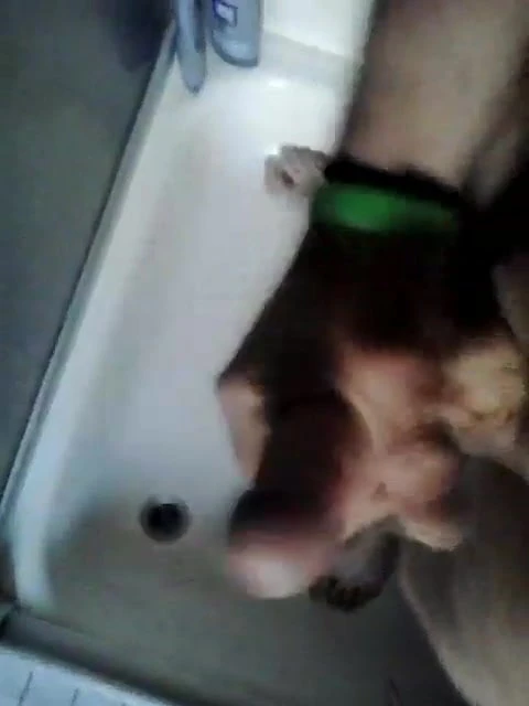 corida