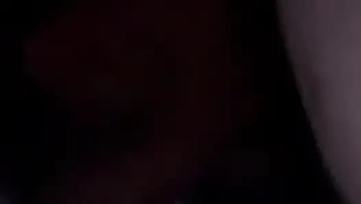 Kitten mengisap kontol