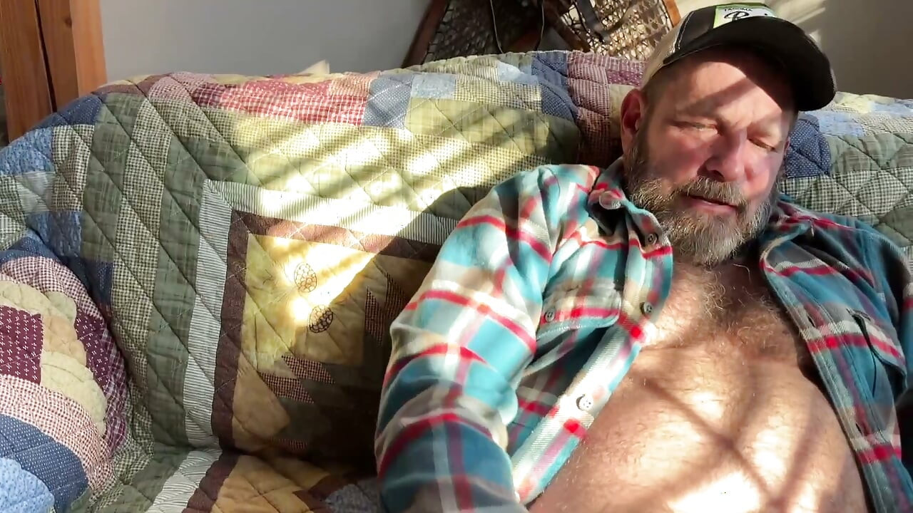 Seattle papá verbal masturbarse peludo papá oso polla en cabina