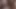 18 Plus Stepsister Having Sex With Stepbrother Big Cock Creampie Her Hairy Pussy
