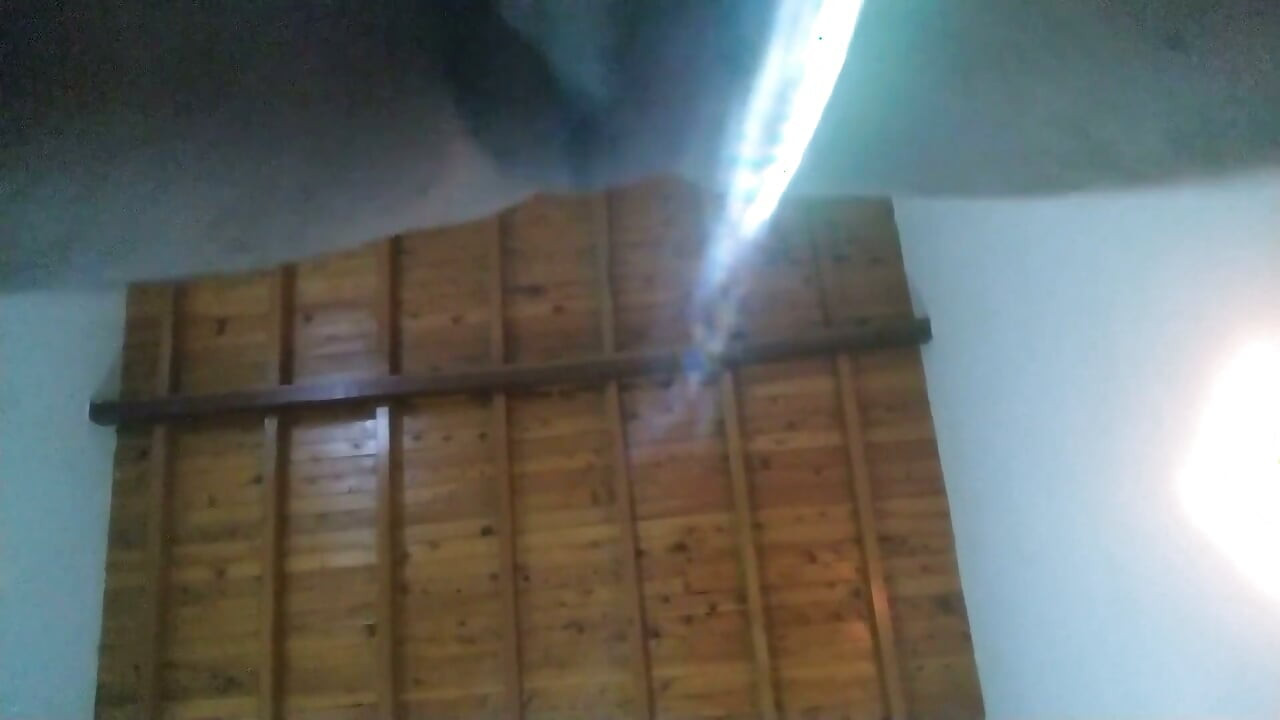 Black Lover Licks My Pussy Before Breeding Me in Missionary