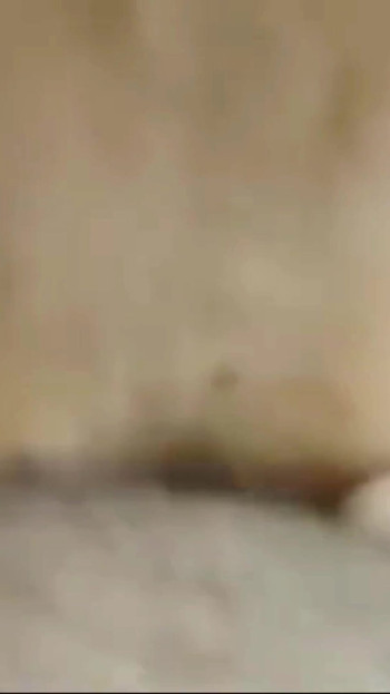 Thrilling moment from "Daddy fucks step son the neighborhood whore"